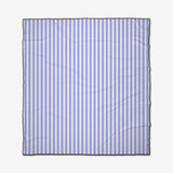 Light Blue Stripes